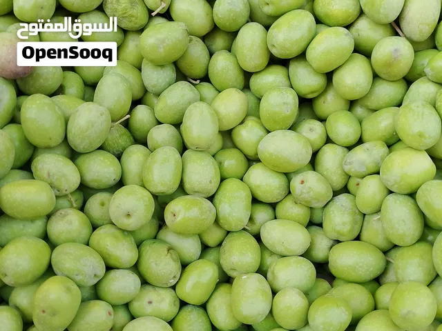 زيتون بلدي