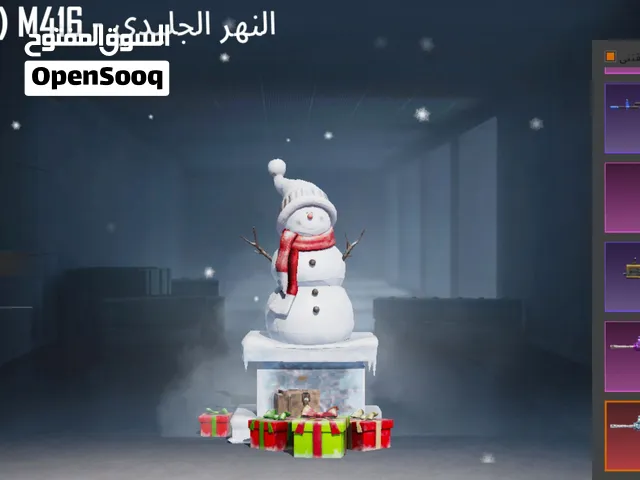 Pubg Accounts and Characters for Sale in Amman