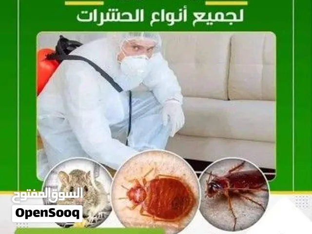 مكافحة حشرات بالمدينة Pest control in the city مكافحة الآفات في المدينة مع الضمان