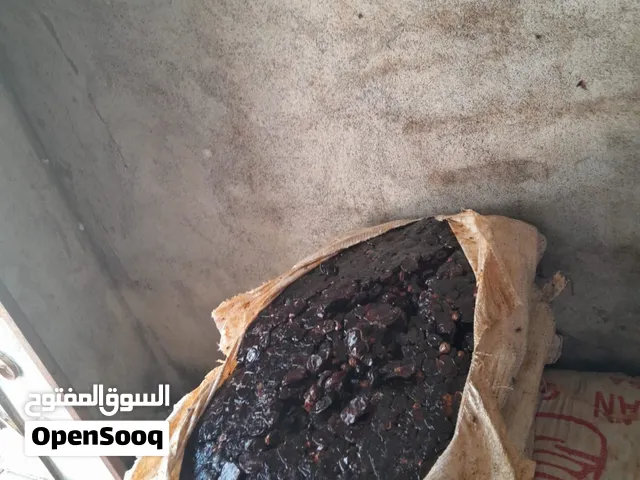 عرض خاص تمر نفيعة أم السلا نظيف – إنتاج جديد