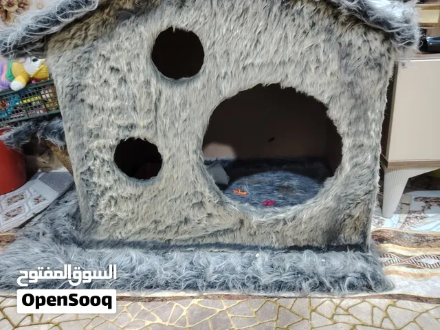 منزل قطط للييق