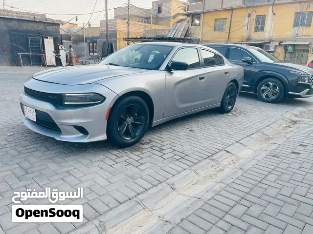 دوچ چارچر سلفري