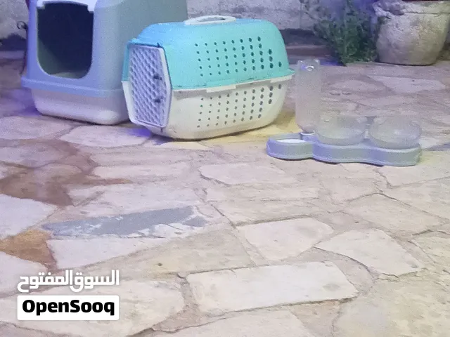 أغراض قطة للبيع
