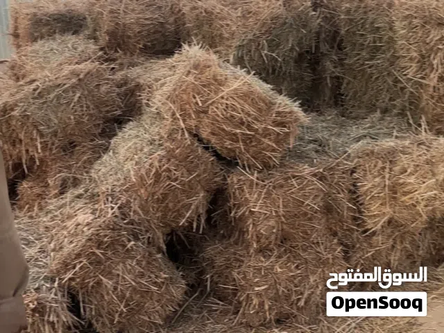 للبيع بلوبنك جديد