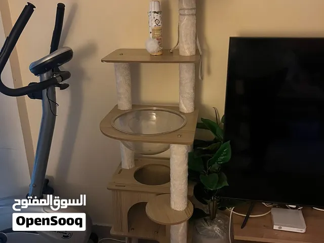 لعبة تسلق و خدش للقطط