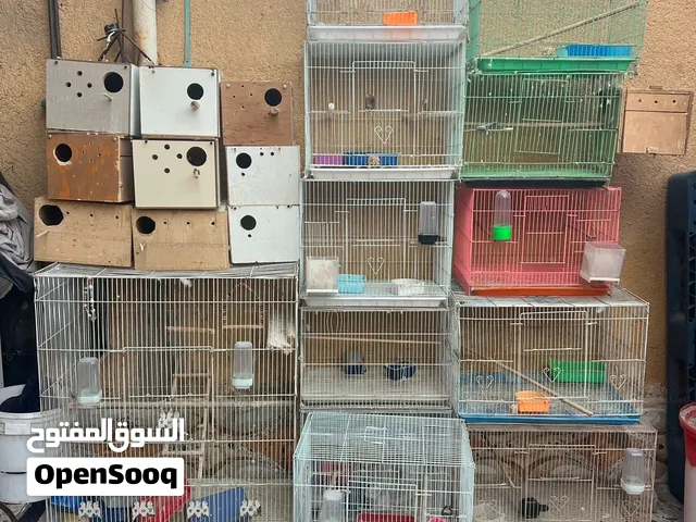 متاح خانات اقره وصف