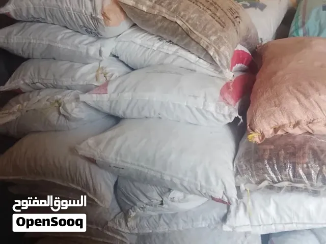 سح نفيعة 50 كيلو واكثر