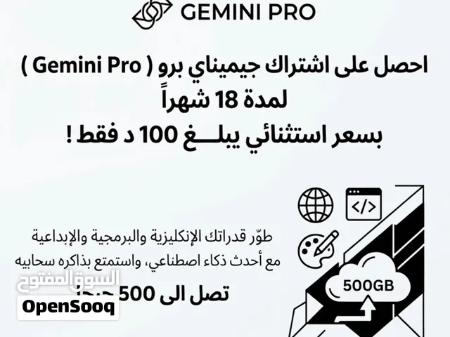 Gemini pro 18month