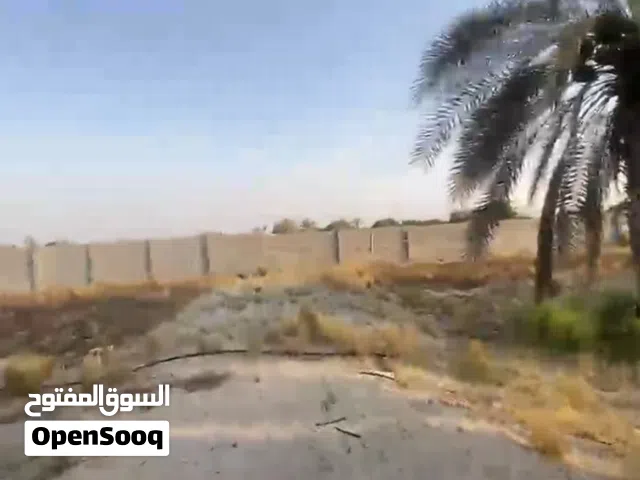 Farm Land for Sale in Abu Dhabi Other
