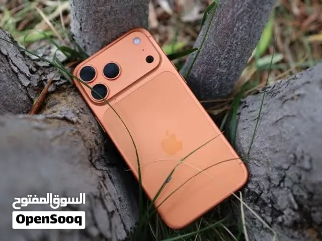 iPhone 17 Pro Max design