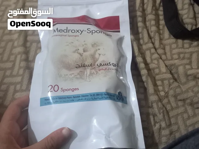 اسفنجات غنم للعشار للبيع