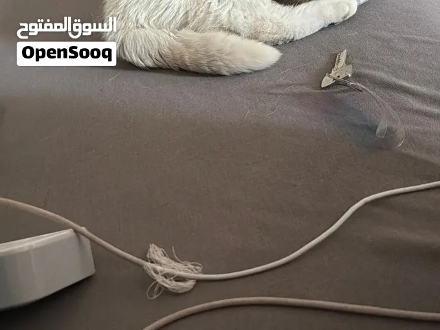 مش للبيع للتبني القاهرة الدقي