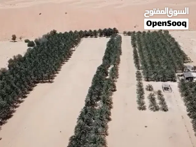 Farm Land for Rent in Abu Dhabi Liwa