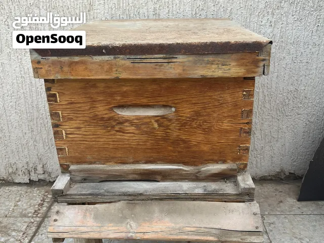 منحل  مع 17  خلية