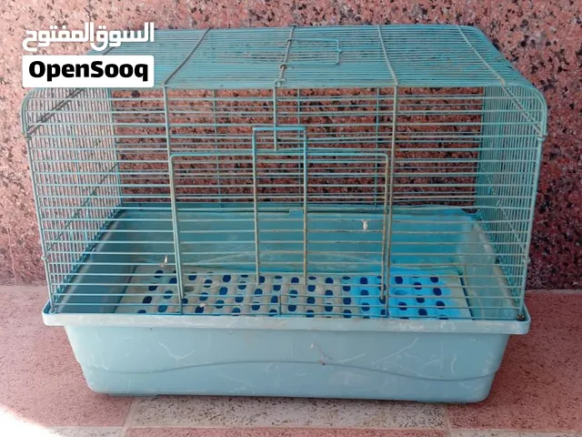 اقفاص ارانب