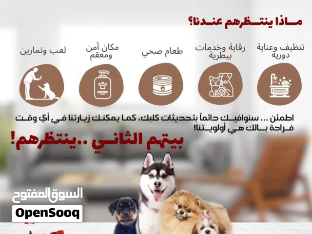 Dog boarding available متوفر فندقه للكلاب