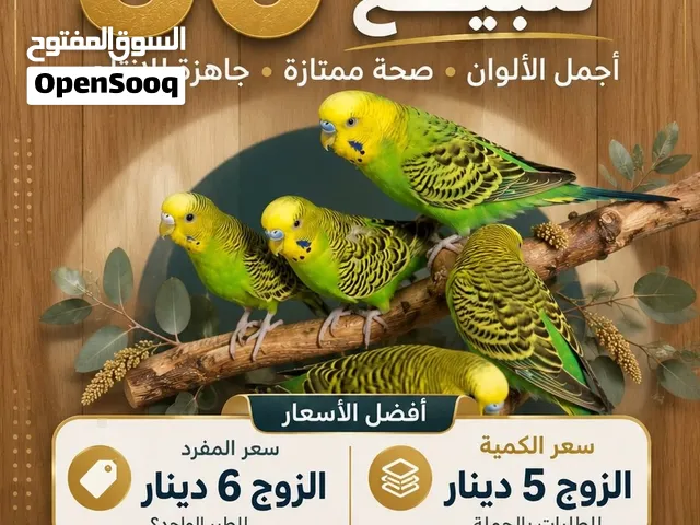 أزواج طيور هند