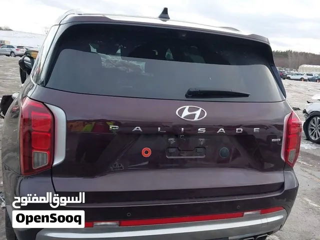بلاسايد 2024 كلكراف بعمان