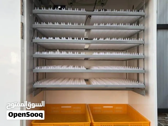 فقاسة بيض للبيع