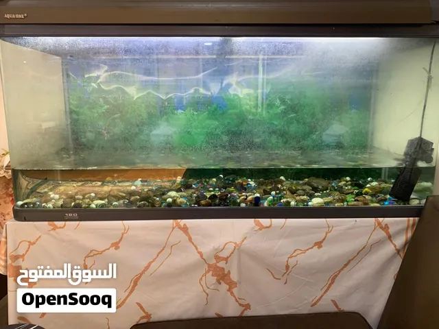 للبيع حوض سمك   نضيف وبنضفه قبل الاستلام وي كبت تحت السعر حط سعرك عجبني شيل