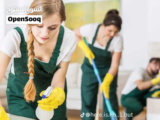 Housekeeping and Home Helpers Cleaning Service