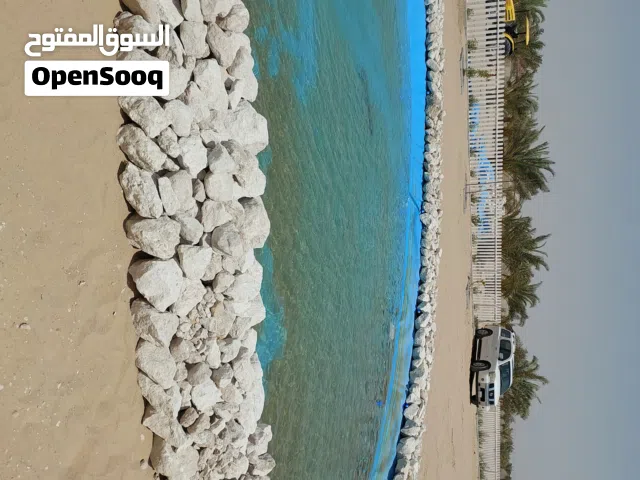 إنشاء بحيرات وشلالات بيع طربال أزرق و أ ومحميات زراعية لهوا الزراعة المنزلية على الأسطح بشكل أحترافي