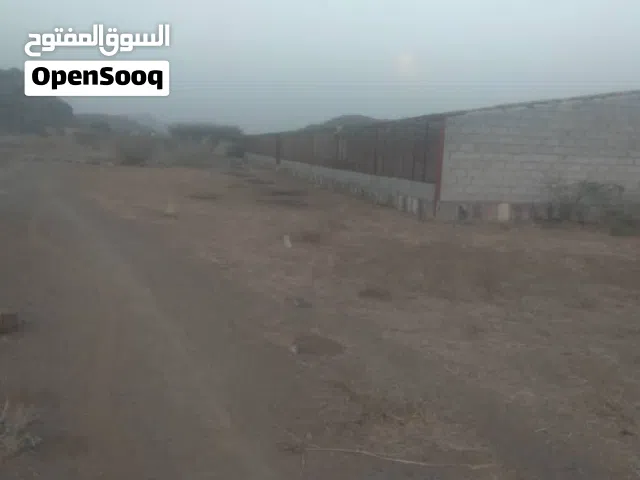 مزرعه دجاج للبيع ايجار الارض بالسنه 30 50 الف  المزرعه في خط عبال امام فقاسه صبر