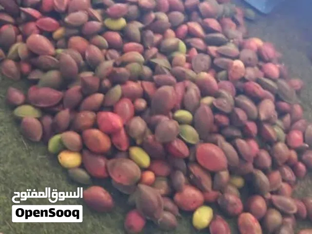 بيذام احمر