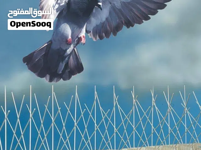 طارد الحمام والطيور