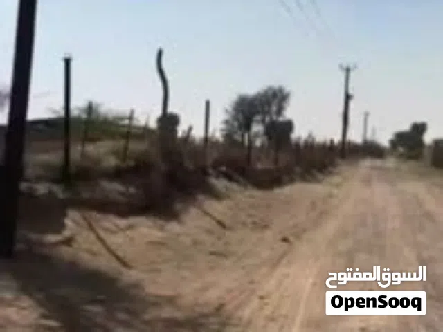 أرض زراعية في المدام