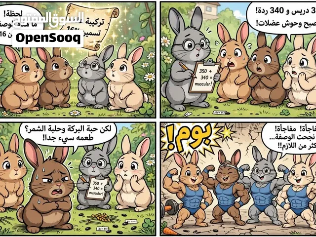 اشراف مزارع أرانب وتركيب اعلاف أرانب