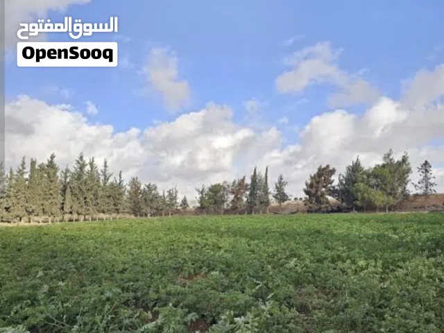 ارض زراعية للبيع بير وسكن وهنقر المكان مصراته مقابل جامع بعيو