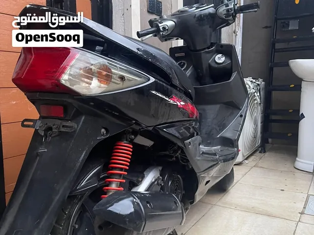 سكنس فحل 2009