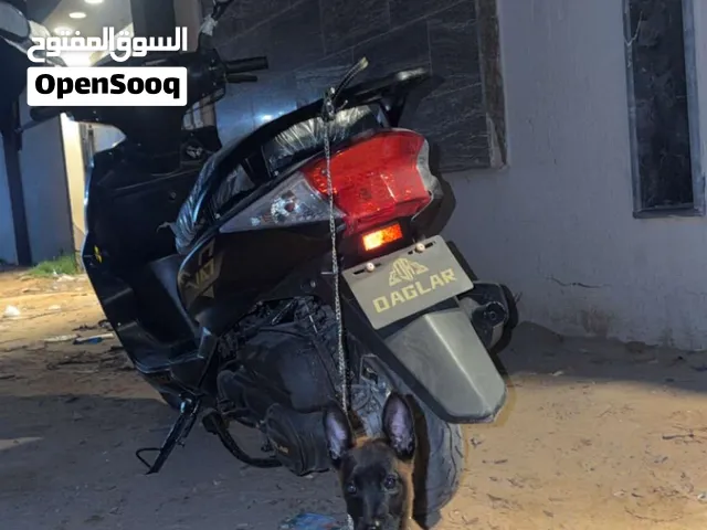 مينوا العمر شهرين انثئ
