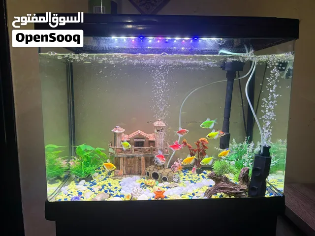حوض اسماك زينة مع 15 سمة