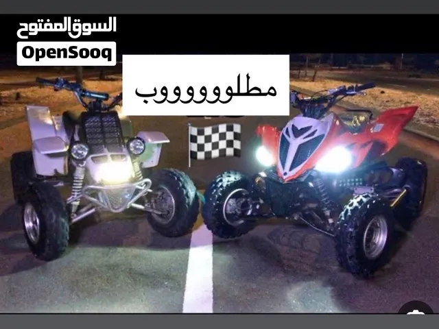 مطلوب بانشي او رابتر رخيص
