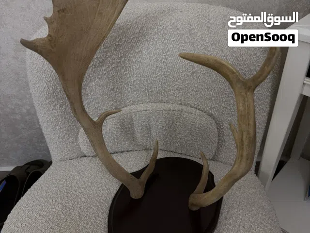 قرن غزال طبيعي مع خشب طبيعي