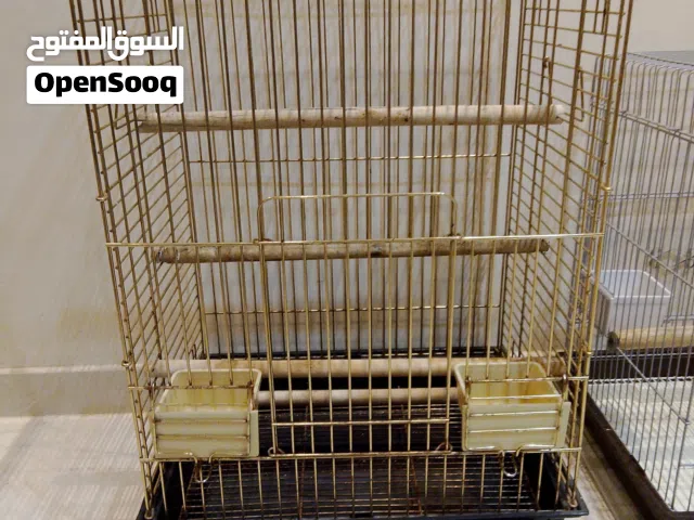 CAGE BIRD good condition