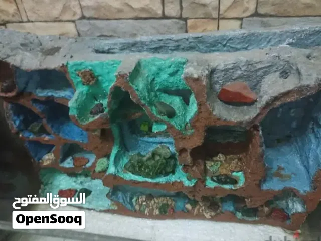 حوض سمك وخلفيه 3D