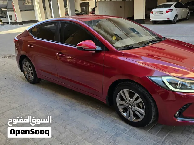 ماهر.ظظظظظظظظظظ