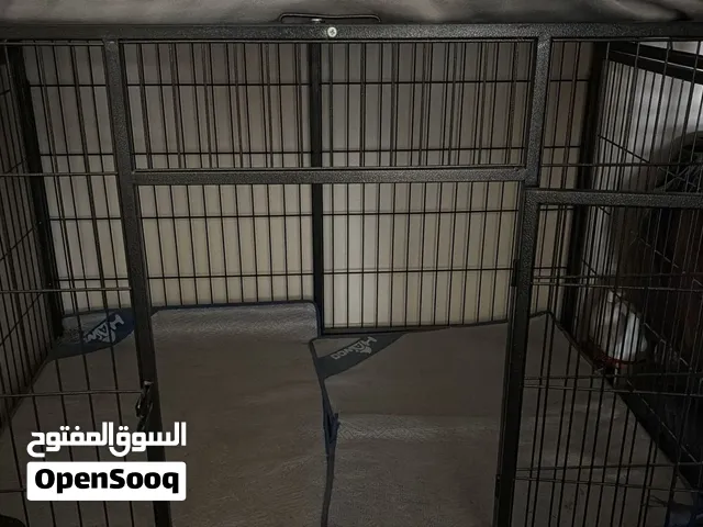 قفص للحيوانات