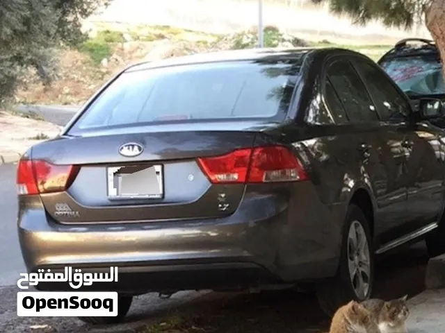 Used Kia Optima in Amman