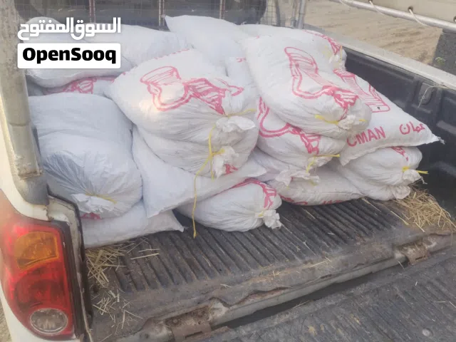 تمر نفيعة جديد للبيع