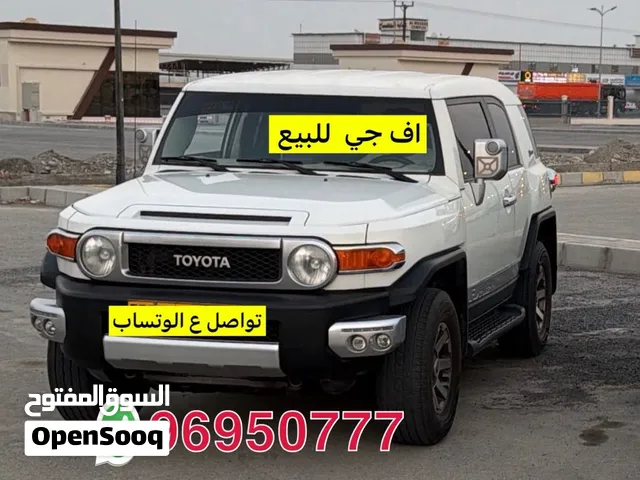 افي جي 2010