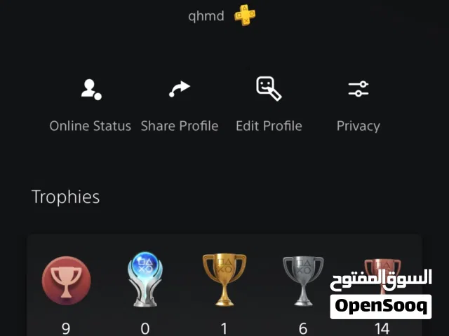 PS+ Accounts and Characters for Sale in Ajman
