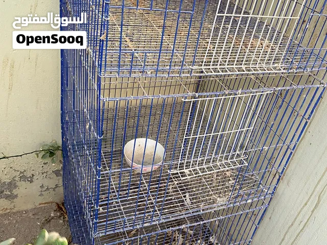 قفص للطيور ودواجن ب50 قابل بل معقول