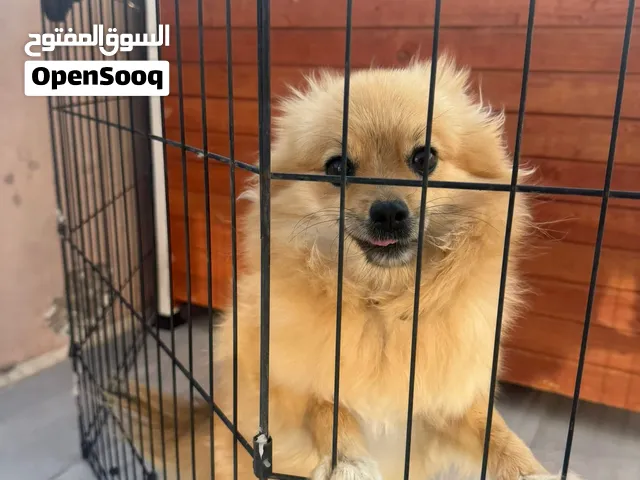 للجادين فقط