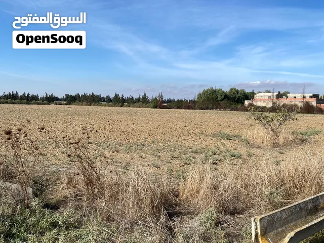 ارض فلاحية بسيدي ثابت terrain a vendre
