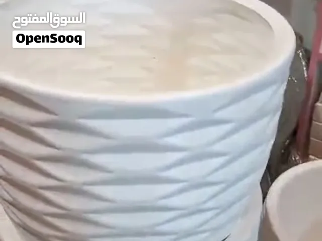 ثوار زريعه وسط حجم قطر 40سم.