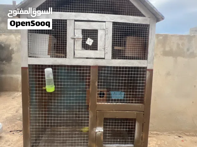 سزنه فيها اربعة حضانات وزو وكالات فيها ارضية سحب لتنضيف السعر كزيوني 100اقل من السوق